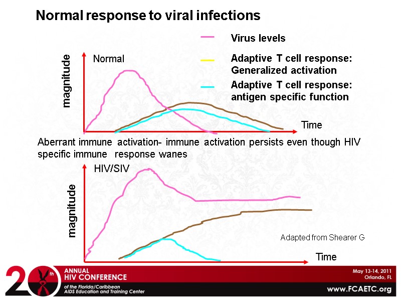 Normal response to viral infections magnitude Time Adaptive T cell response:  Generalized activation